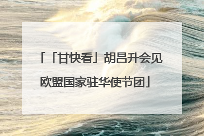 「甘快看」胡昌升会见欧盟国家驻华使节团