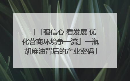 「强信心 看发展 优化营商环境争一流」一瓶胡麻油背后的产业密码
