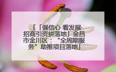 「强信心 看发展·招商引资拼落地」金昌市金川区：“全周期服务”助推项目落地