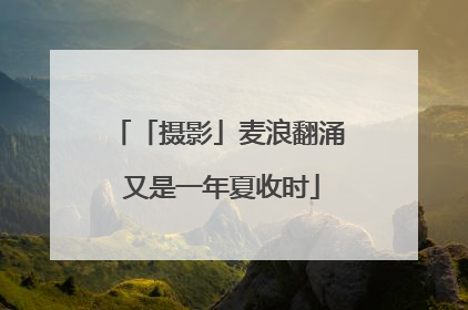 「摄影」麦浪翻涌 又是一年夏收时