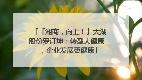 「湘商，向上！」大湖股份罗订坤：转型大健康，企业发展更健康