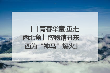 「青春华章·重走西北角」博物馆丑东西为“神马”爆火