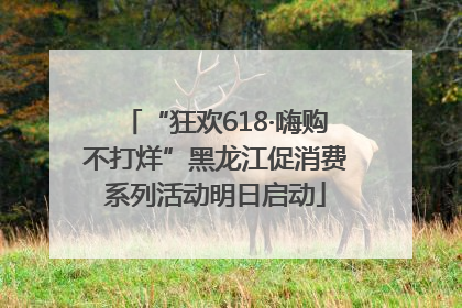 “狂欢618·嗨购不打烊”黑龙江促消费系列活动明日启动