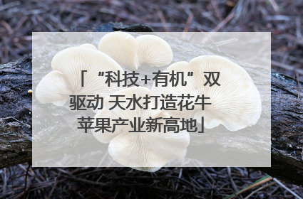 “科技+有机”双驱动 天水打造花牛苹果产业新高地