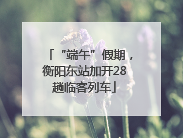 “端午”假期，衡阳东站加开28趟临客列车