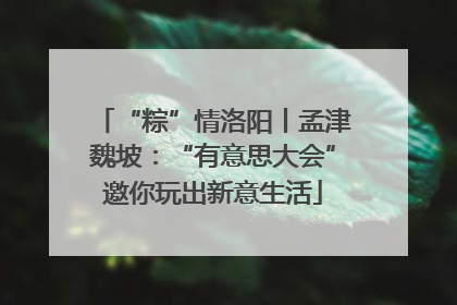 “粽”情洛阳丨孟津魏坡：“有意思大会”邀你玩出新意生活