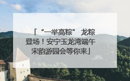 “一举高粽” 龙粽登场！安宁玉龙湾端午宋韵游园会等你来