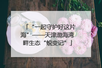 “一起守护好这片海”——天津渤海湾畔生态“蜕变记”