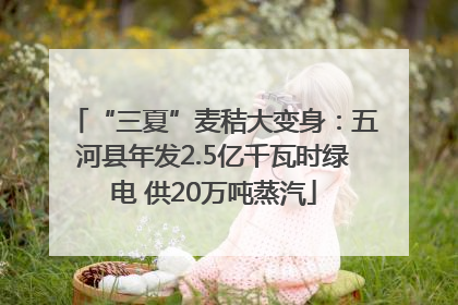 “三夏”麦秸大变身：五河县年发2.5亿千瓦时绿电 供20万吨蒸汽