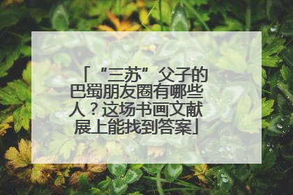 “三苏”父子的巴蜀朋友圈有哪些人？这场书画文献展上能找到答案