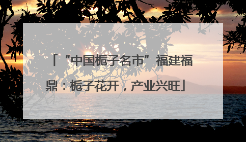 “中国栀子名市”福建福鼎：栀子花开，产业兴旺
