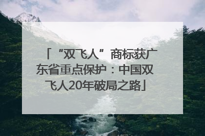 “双飞人”商标获广东省重点保护：中国双飞人20年破局之路