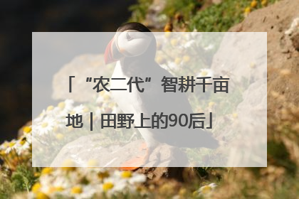 “农二代”智耕千亩地｜田野上的90后