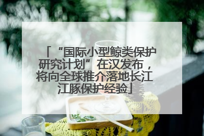 “国际小型鲸类保护研究计划”在汉发布，将向全球推介落地长江江豚保护经验
