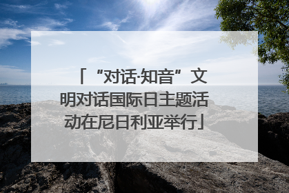 “对话·知音”文明对话国际日主题活动在尼日利亚举行