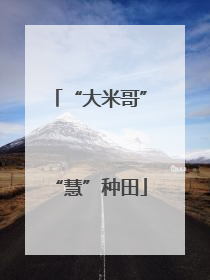 “大米哥”“慧”种田