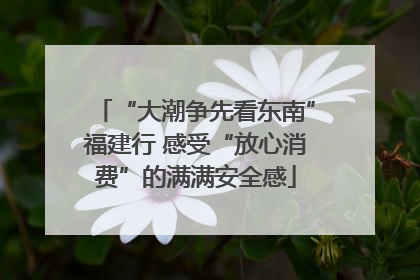 “大潮争先看东南”福建行 感受“放心消费”的满满安全感