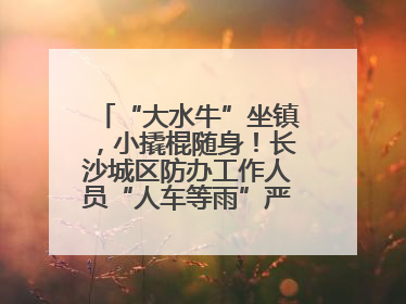 “大水牛”坐镇，小撬棍随身！长沙城区防办工作人员“人车等雨”严阵以待