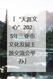 “天涯文心”2025年三亚市文化发展主题交流会举办