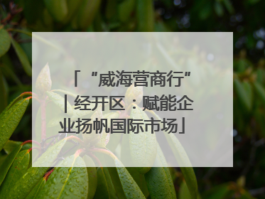 “威海营商行”｜经开区：赋能企业扬帆国际市场