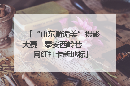 “山东邂逅美”摄影大赛｜泰安西岭巷——网红打卡新地标