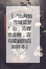 “山海情・雪域援梦”⑧：青稞变金稞，青岛援藏的高原样本