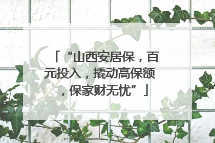 “山西安居保，百元投入，撬动高保额，保家财无忧”