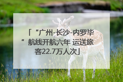 “广州-长沙-内罗毕”航线开航六年 运送旅客22.7万人次