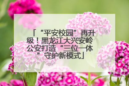 “平安校园”再升级！黑龙江大兴安岭公安打造“三位一体”守护新模式