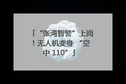 “张湾智警”上岗！无人机变身 “空中 110”