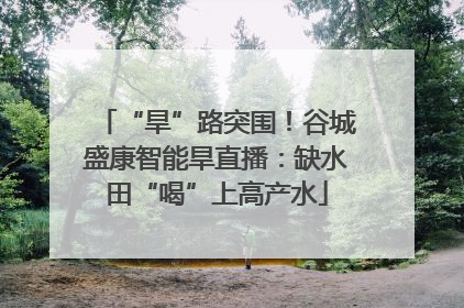 “旱”路突围！谷城盛康智能旱直播：缺水田“喝”上高产水