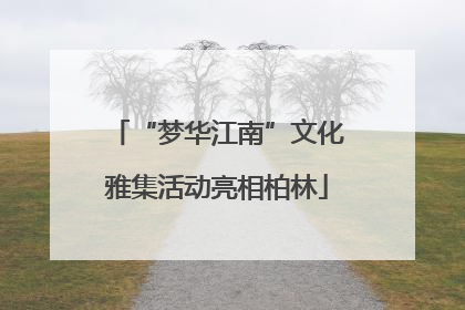 “梦华江南”文化雅集活动亮相柏林