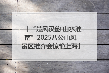 “楚风汉韵 山水淮南”2025八公山风景区推介会惊艳上海