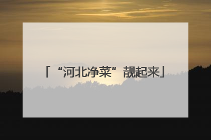 “河北净菜”靓起来