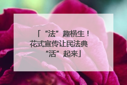 “法”趣横生！花式宣传让民法典“活”起来