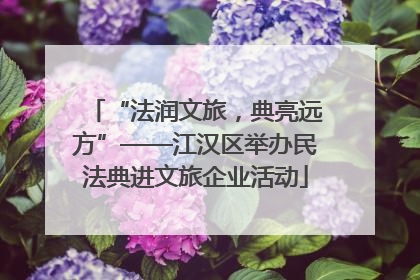 “法润文旅，典亮远方”——江汉区举办民法典进文旅企业活动
