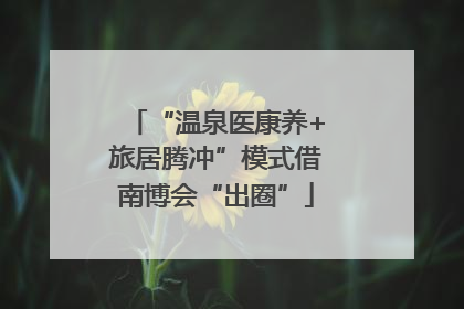 “温泉医康养+旅居腾冲”模式借南博会“出圈”