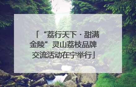 “荔行天下・甜满金陵”灵山荔枝品牌交流活动在宁举行