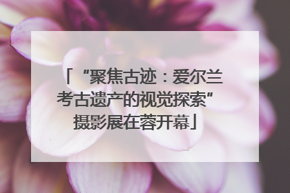 “聚焦古迹：爱尔兰考古遗产的视觉探索”摄影展在蓉开幕
