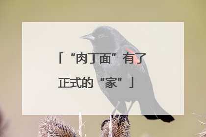 “肉丁面”有了正式的“家”