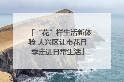 “花”样生活新体验 大兴区让市花月季走进日常生活