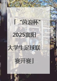 “茵浪杯”2025襄阳大学生足球联赛开赛