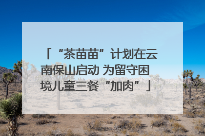 “茶苗苗”计划在云南保山启动 为留守困境儿童三餐“加肉”