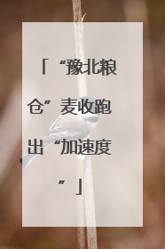 “豫北粮仓”麦收跑出“加速度”