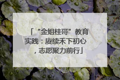 “金姐桂哥”教育实践：赓续禾下初心，志愿聚力前行