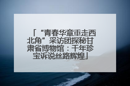 “青春华章重走西北角”采访团探秘甘肃省博物馆：千年珍宝诉说丝路辉煌