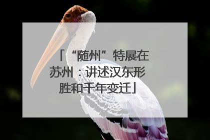 “随州”特展在苏州：讲述汉东形胜和千年变迁