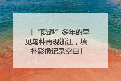 “隐退”多年的罕见鸟种再现浙江，填补影像记录空白