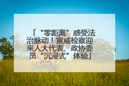 “零距离”感受法治脉动！宣威检察迎来人大代表、政协委员“沉浸式”体验