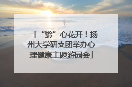 “黔”心花开！扬州大学研支团举办心理健康主题游园会